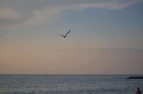 Татьяна Руднева