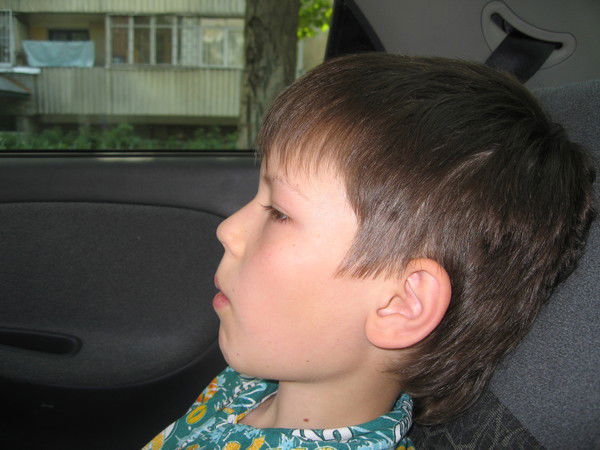 Ярослав Логинов