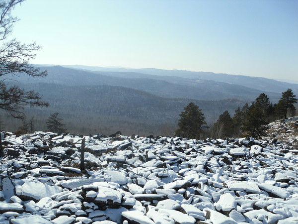 Наталья Антипова