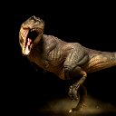 Tiranozavr Rex