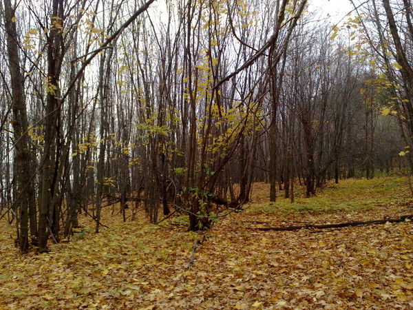 Марат Айтбаев