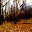 Марат Айтбаев