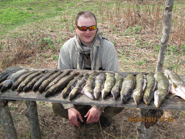 Денис Ильин