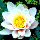 Юлия Живага