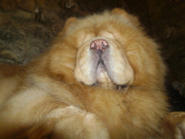 Татьяна Емильянова