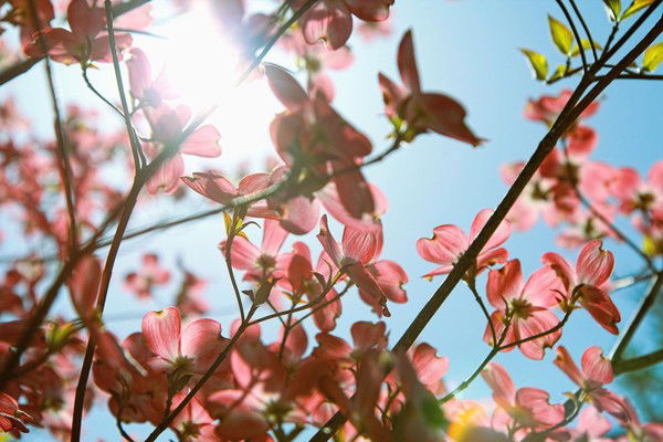 Динарик Рузиева