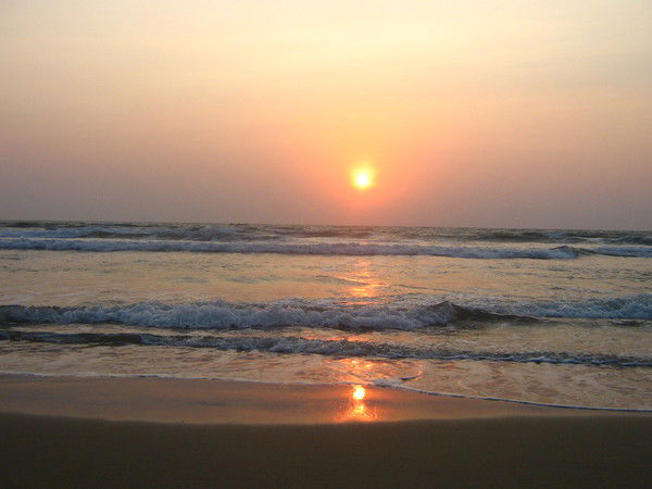 Центр Ясень