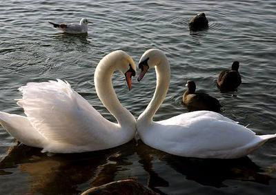 Мая Жумабековна