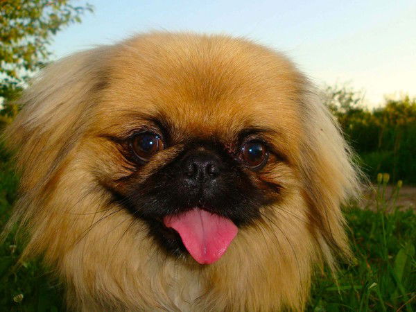 Дмитрий Благов