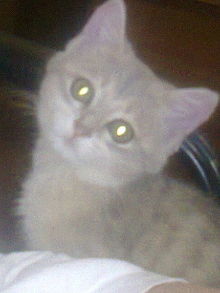 Наталья Соболева