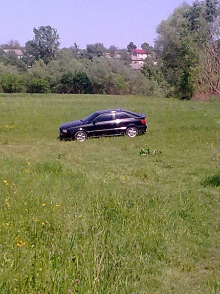 Виктор Скавронський