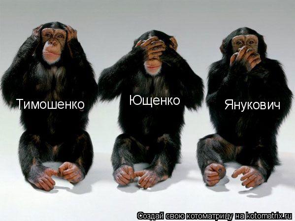 Послушный Раб Бдсм