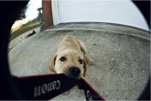 Наталья Александровна