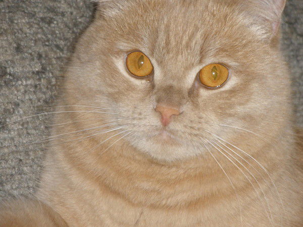 Валерий Геннадьевич