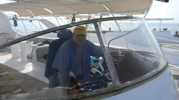 Игорь Шипицын