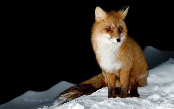 Сабит Оразбеков