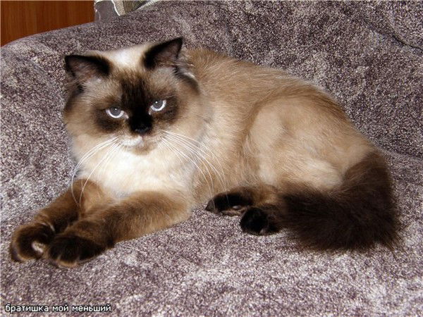 Таня Дедова