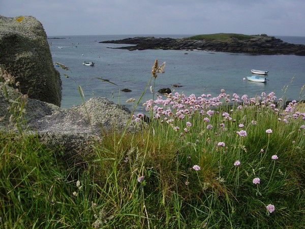 Надежда Кузнецова