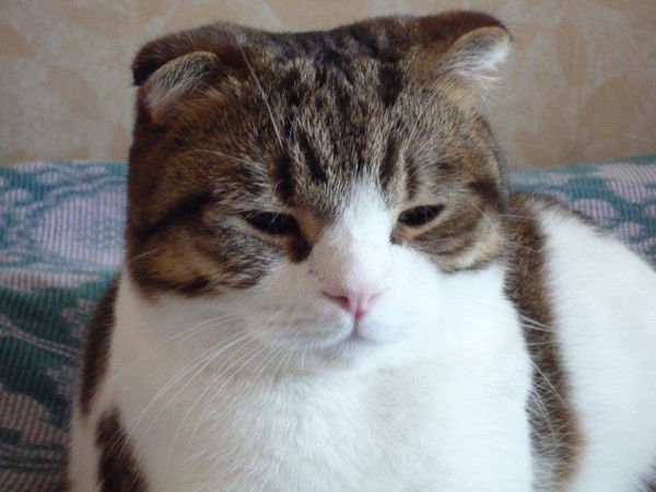 Людмила Хорошилова