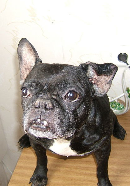 Александр Климченко