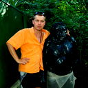 Дмитрий Тхорук