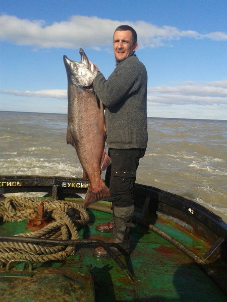 Димон Татаринов