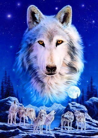 Сергей Козлов