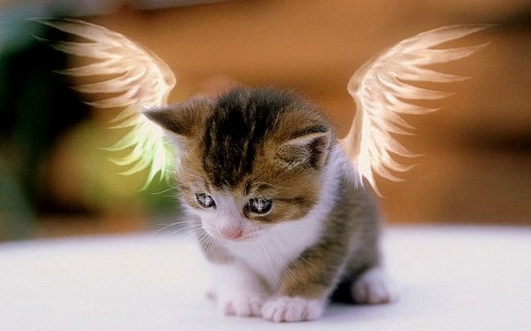 Маша Туманова