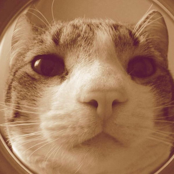 Евгения Санникова