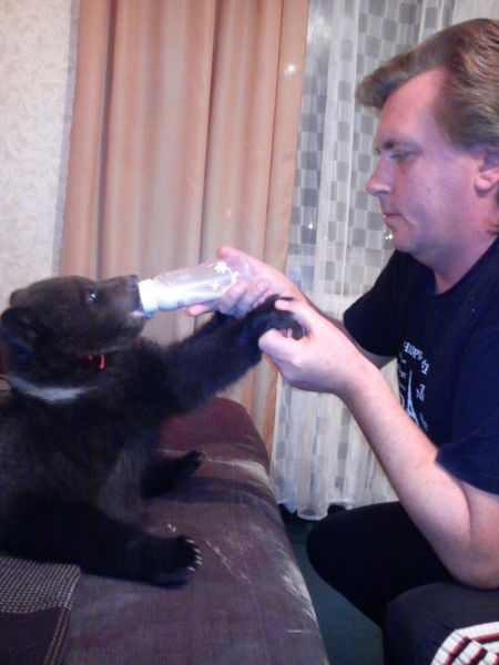 Юрий Дробот