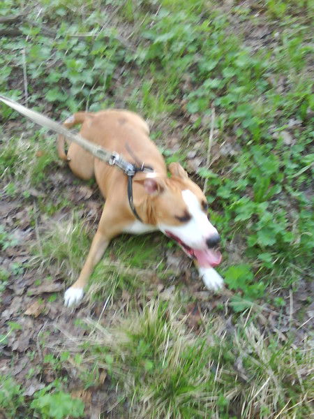 Ольга Кашеварова