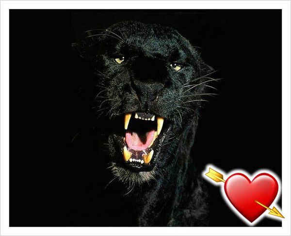 Жанна Мусабаева