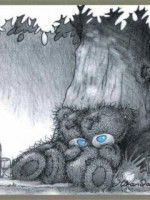 Елена Соловова