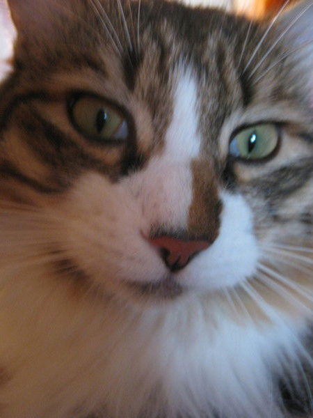 Татьяна Жунусова