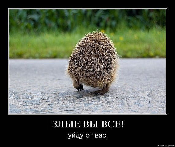 Лариса Приходько