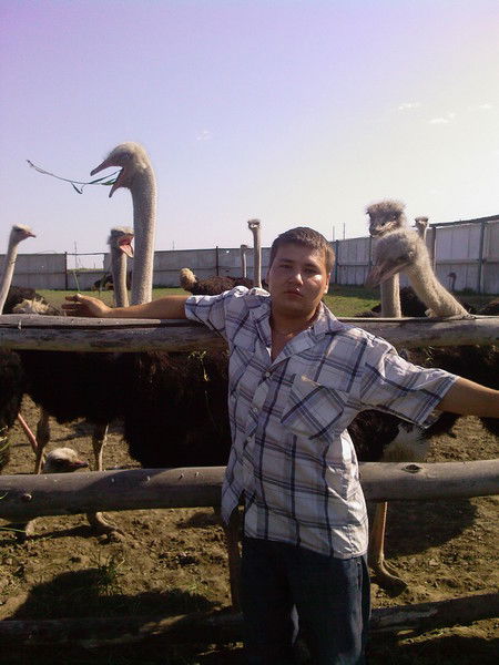 Дмитрий Куликов