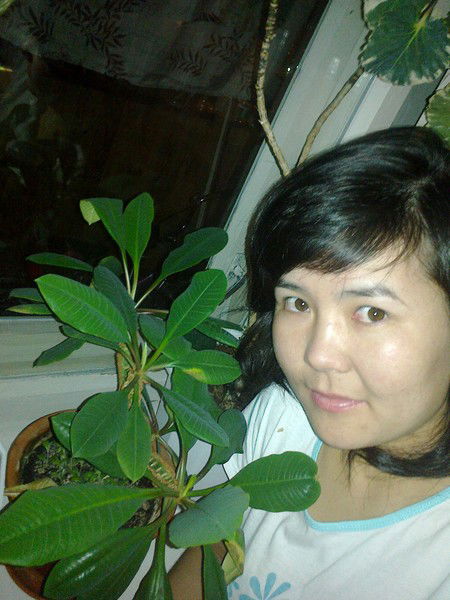 Аида Толонова