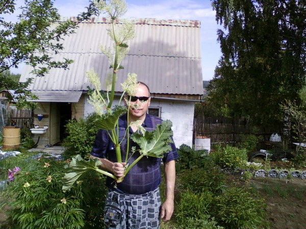 Сергей Журавлёв