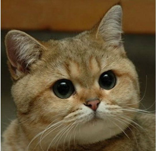 Семён Исмагилов