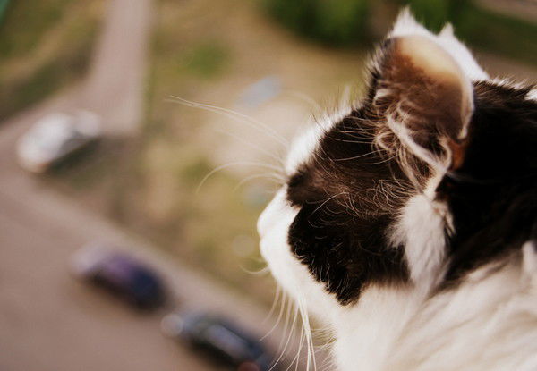 Марина Вагр