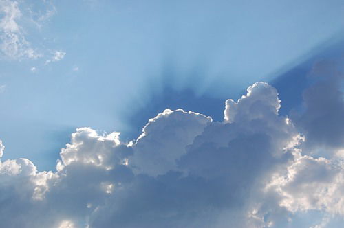 Света Прокуда