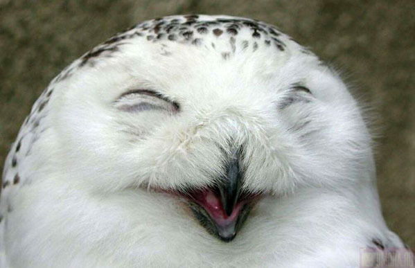 Элина Савиных