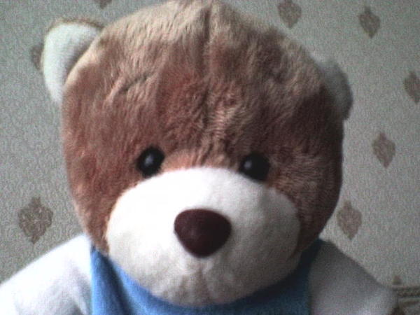 Михаил Гамеров