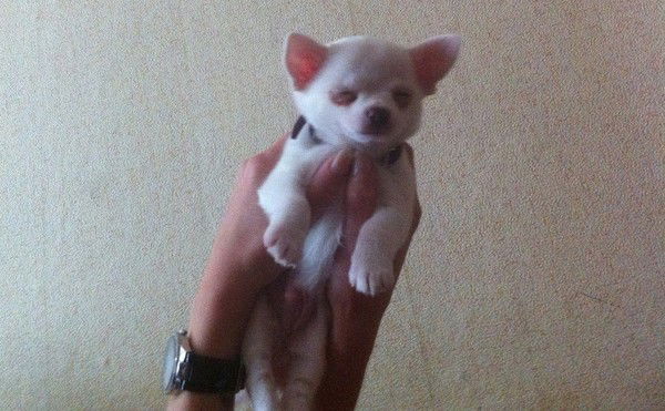 Наталья Максимец