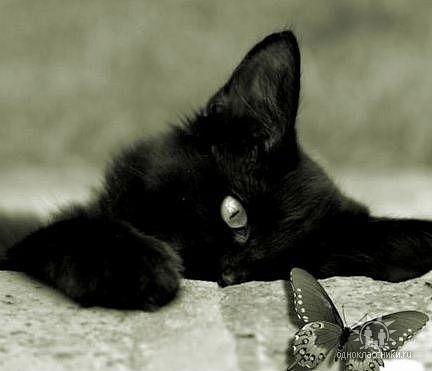 Ирина Кузьмина