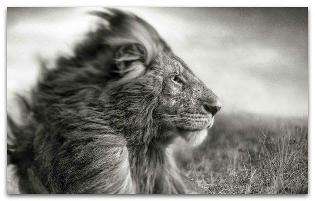 Алексей Матвиенко