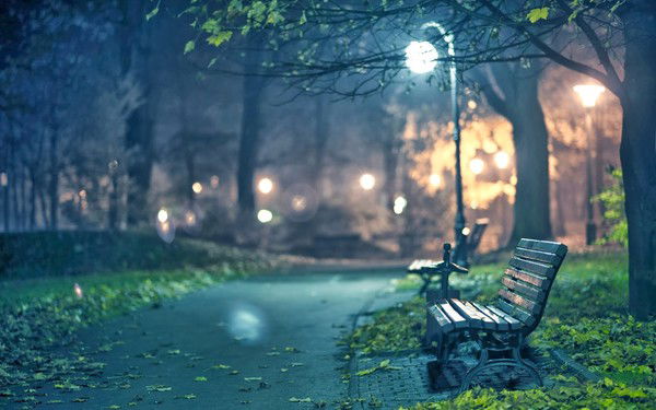 Диана Стожкова