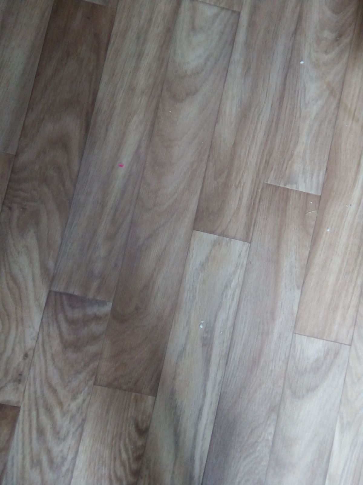 Ирина Таначёва