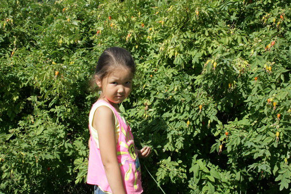 Сабина Кулбулдинова