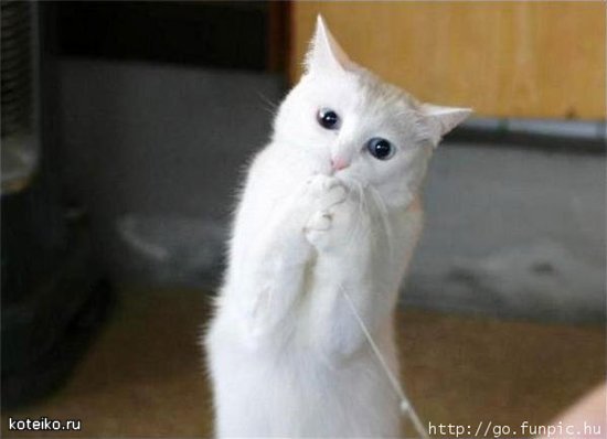 Юлия Любимова